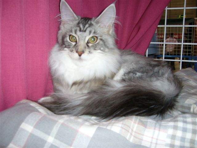 Kuva 18.9.07 139.jpg